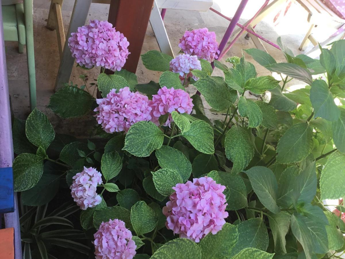 Belen Hotel ซีเด ภายนอก รูปภาพ